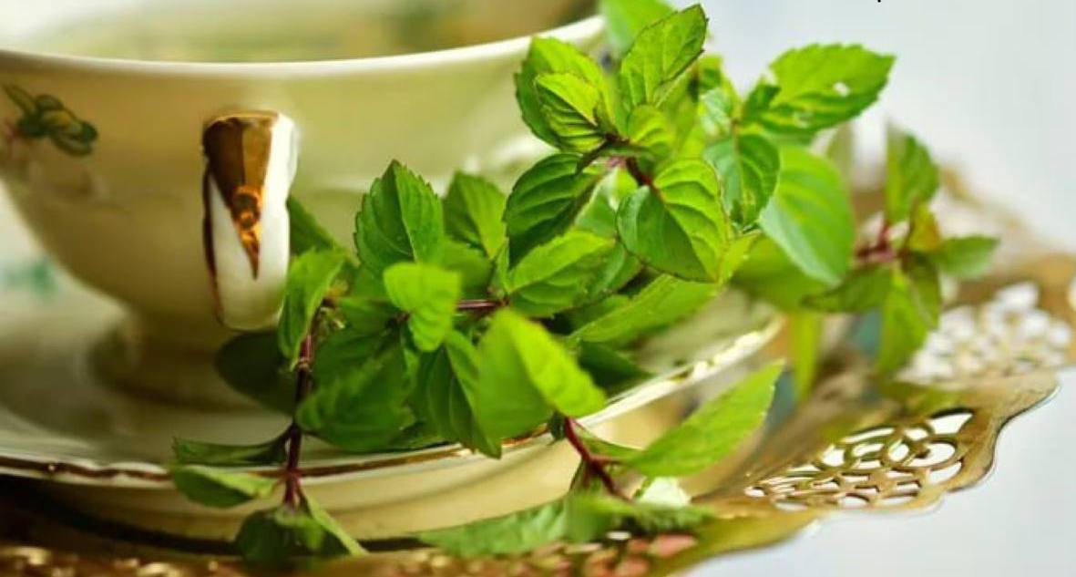 ¡Beneficios del té de menta!